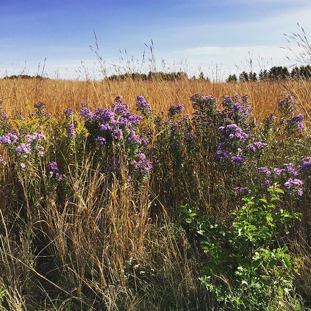 Peck Farm Park - @kateebaugh